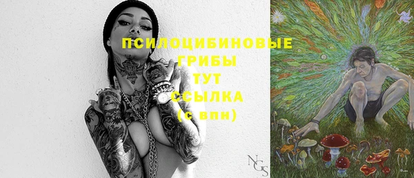 a pvp Алексин